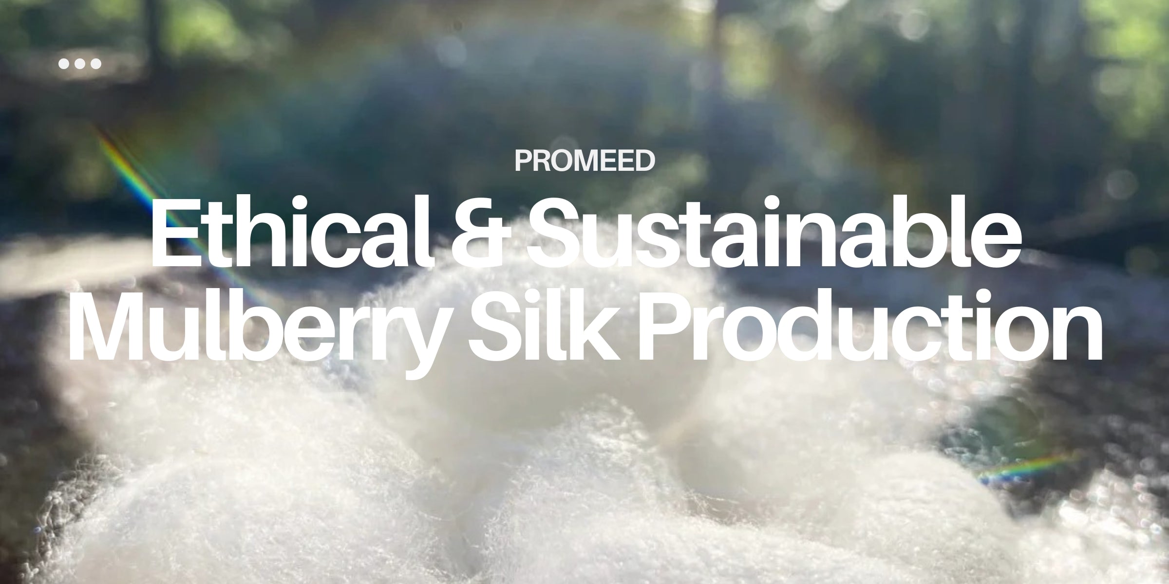 Ethical & Sustainable Mulberry Silk Production Understanding the Basics