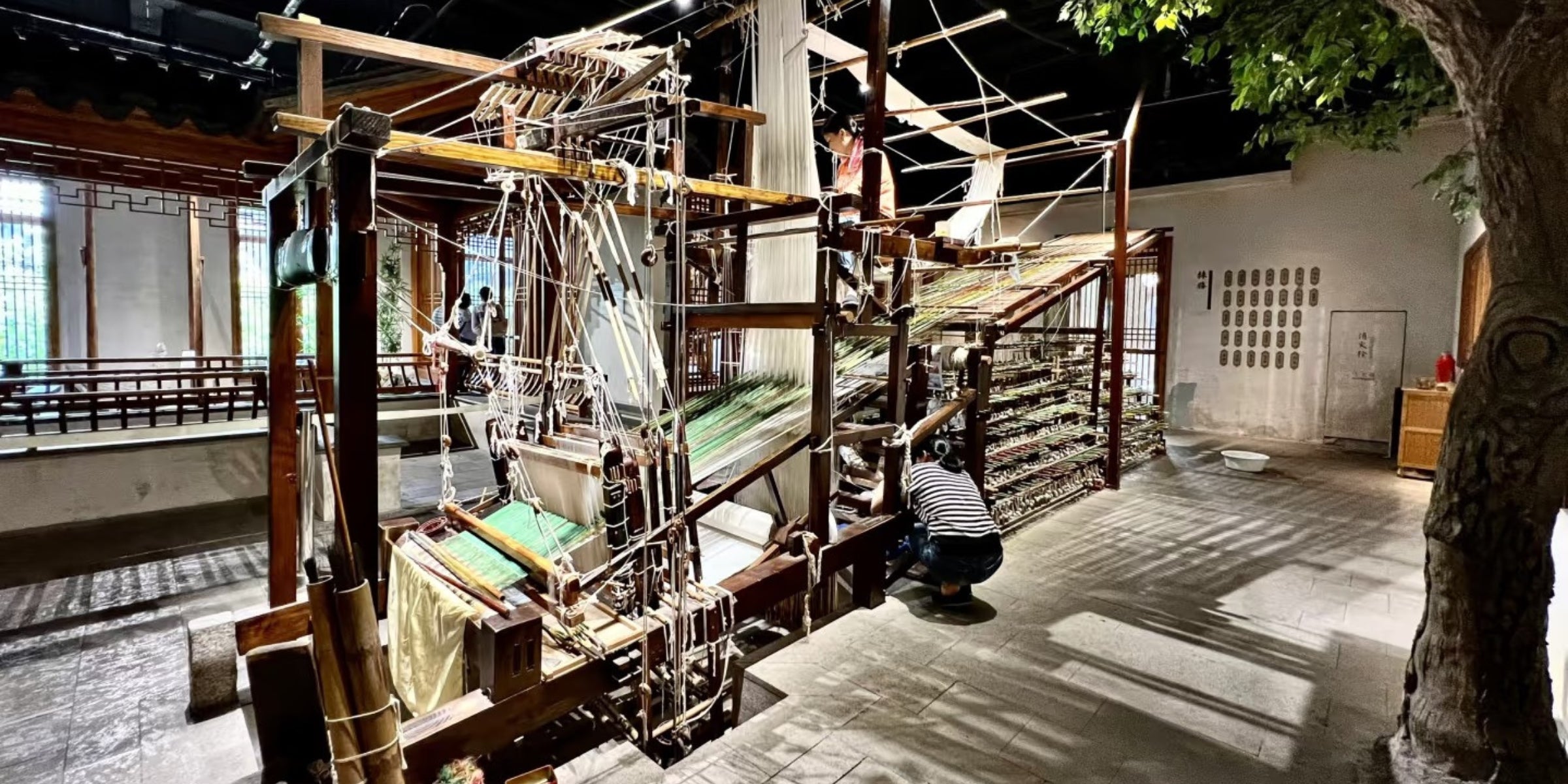 From Cocoon to Comfort: A Behind-the-Scenes Look at Promeed's Silk Production Process