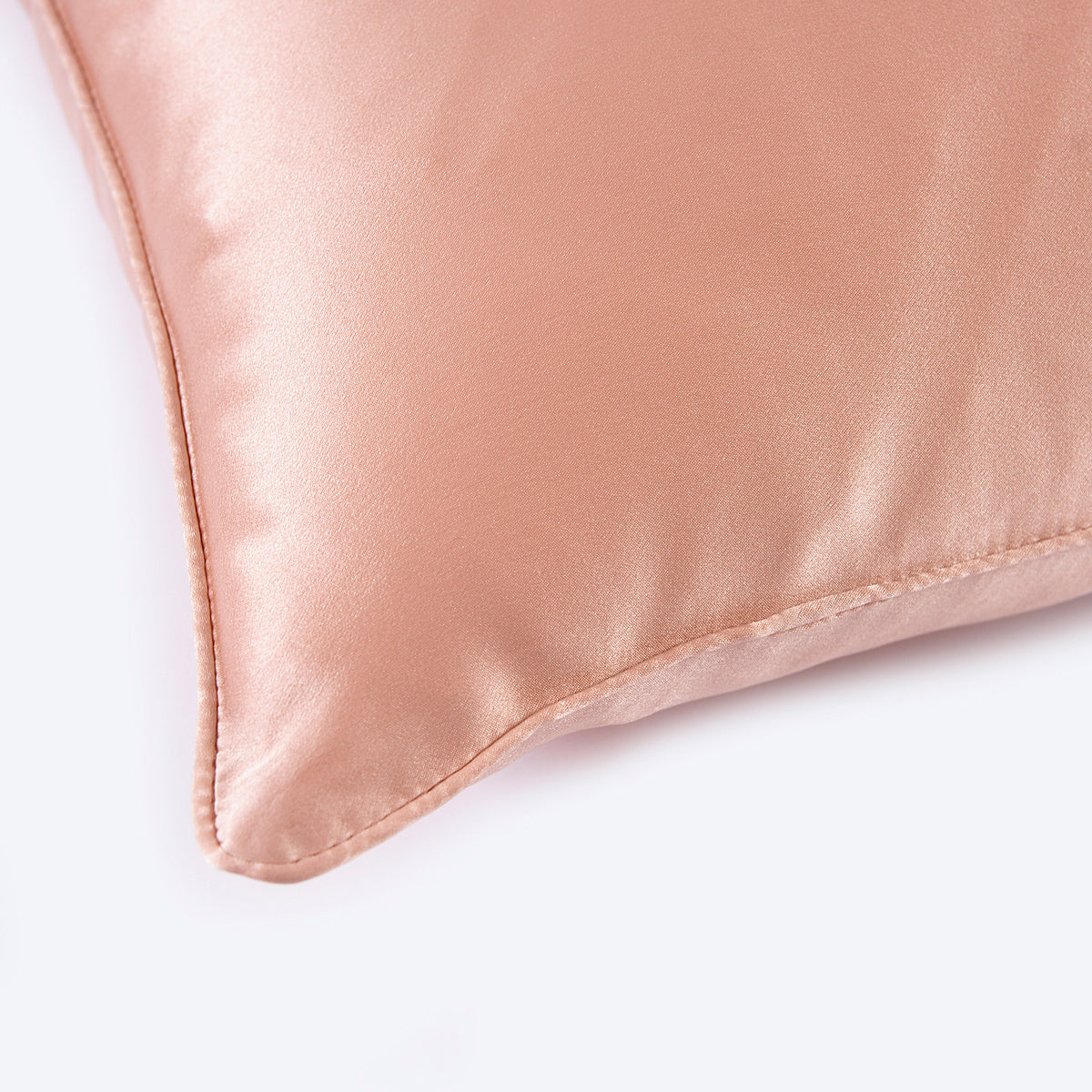 100% Mulberry Silk Cushion Pillow Case - promeedsilk