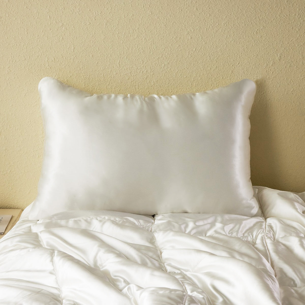 Slip-In Hydrating Silk Pillowcase - promeedsilk