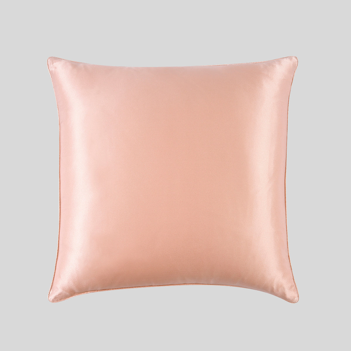 100% Mulberry Silk Cushion Pillow Case - promeedsilk