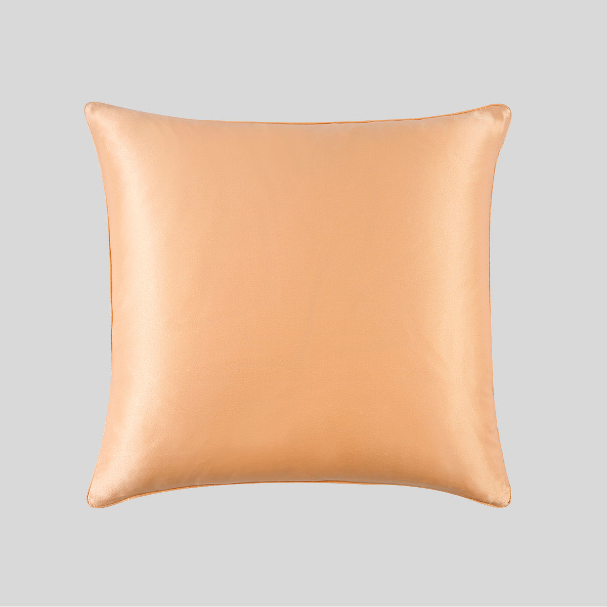 100% Mulberry Silk Cushion Pillow Case - promeedsilk