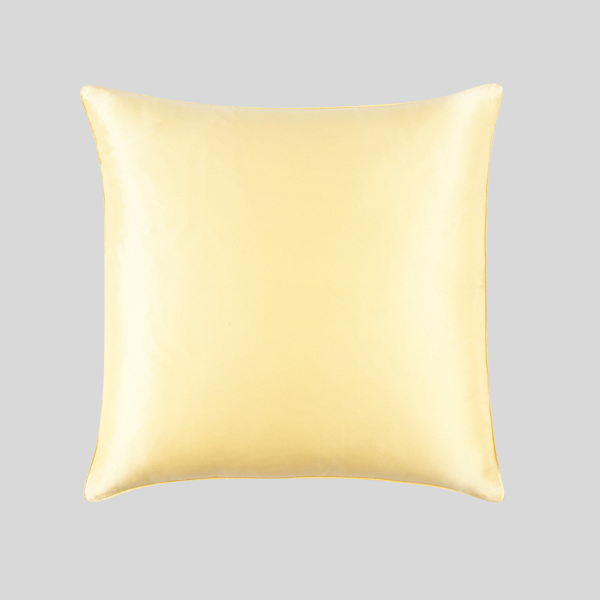 100% Mulberry Silk Cushion Pillow Case - promeedsilk