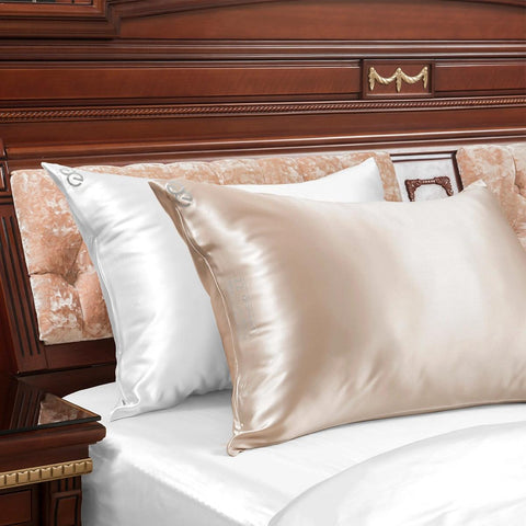 22mm 6A Silk Pillowcases With Zipper (2 Pack) - promeedsilk