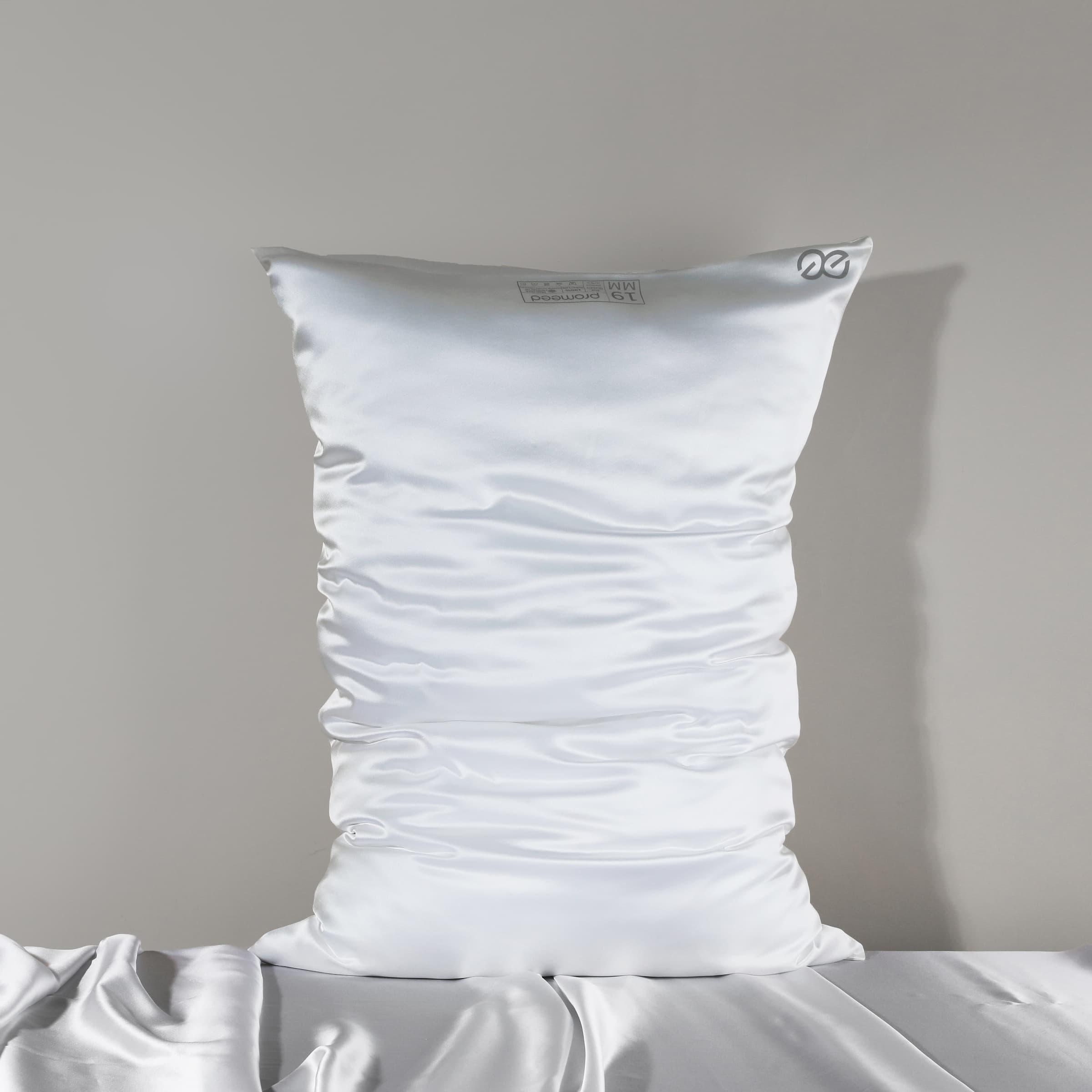 19mm 6A Silk Pillowcase With Zipper - promeedsilk